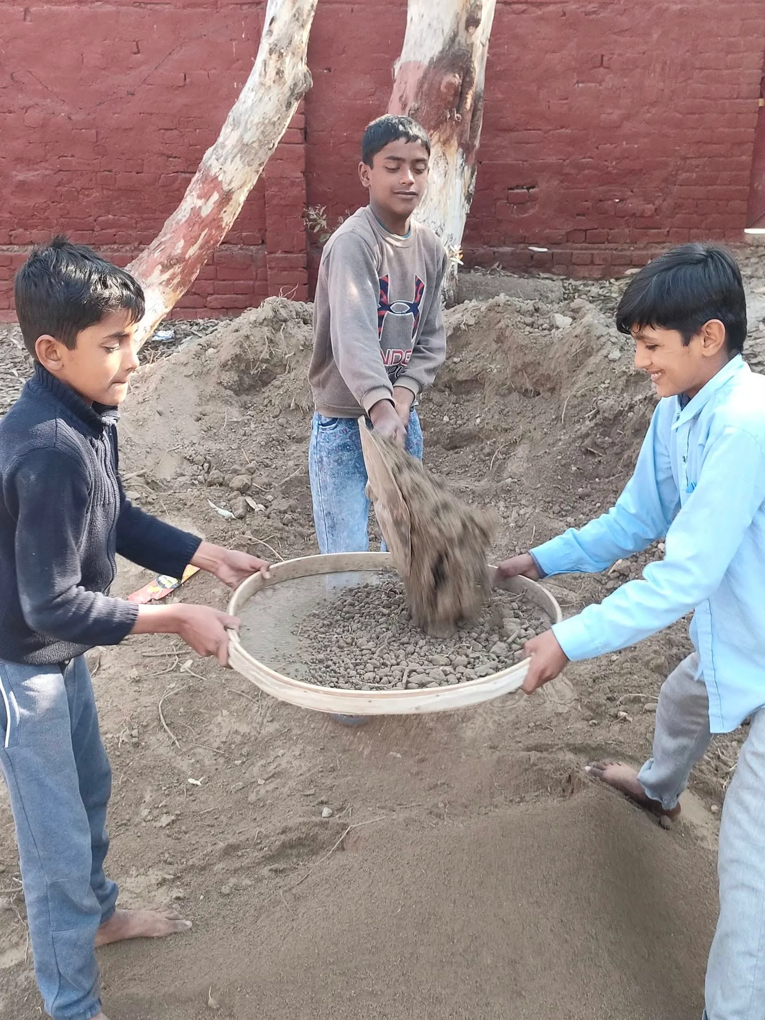 Green Seekers Activity